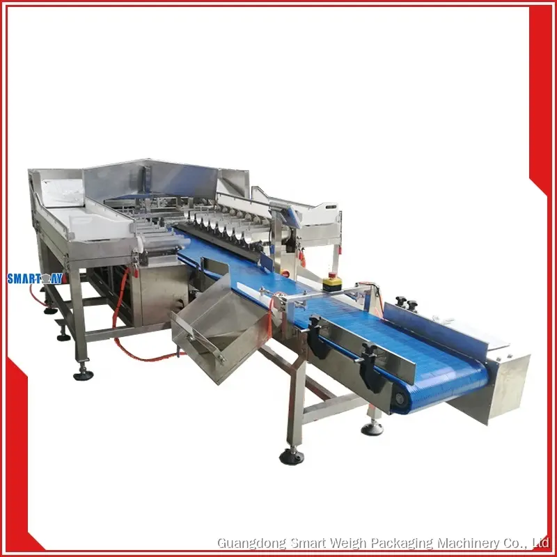 Frozen Fish Fillet Weigher Packing Machine – Accurate, High-Speed Weighing 1