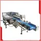 Frozen Fish Fillet Weigher Packing Machine – Accurate, High-Speed Weighing 1
