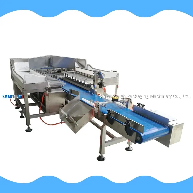 Fish Fillet Multihead Weigher Machine 1
