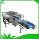 Multi Head Fish Fillet Weigher Packing Machine 1