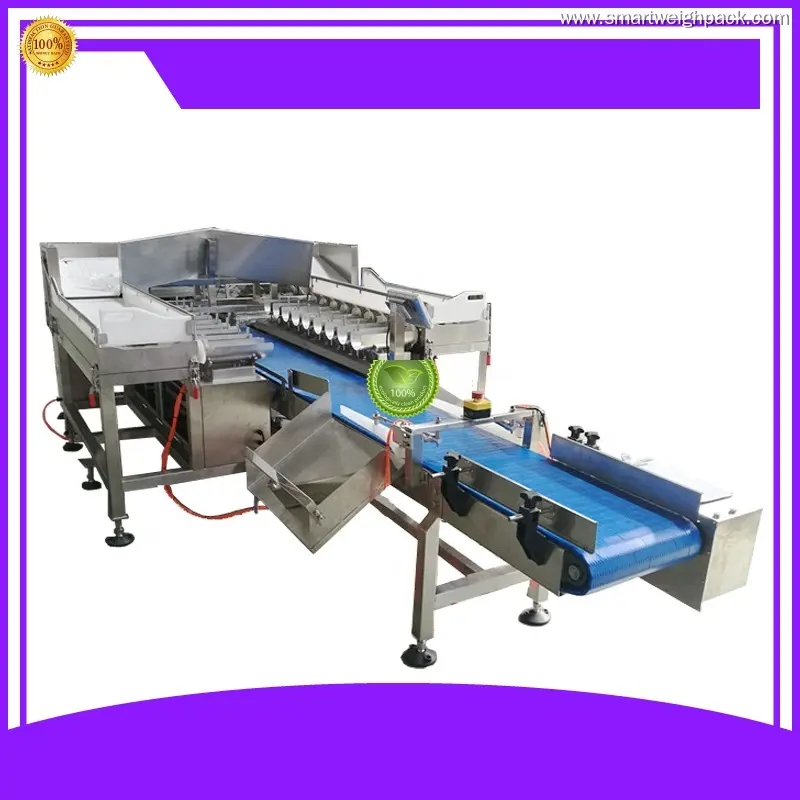 Custom multihead weigher factory price Manufacturer | Smart Weigh 1