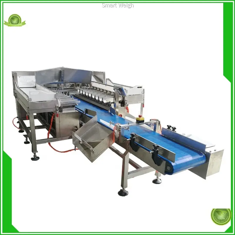 Smart Weigh | eco-friendly weighing and packing machine series 1