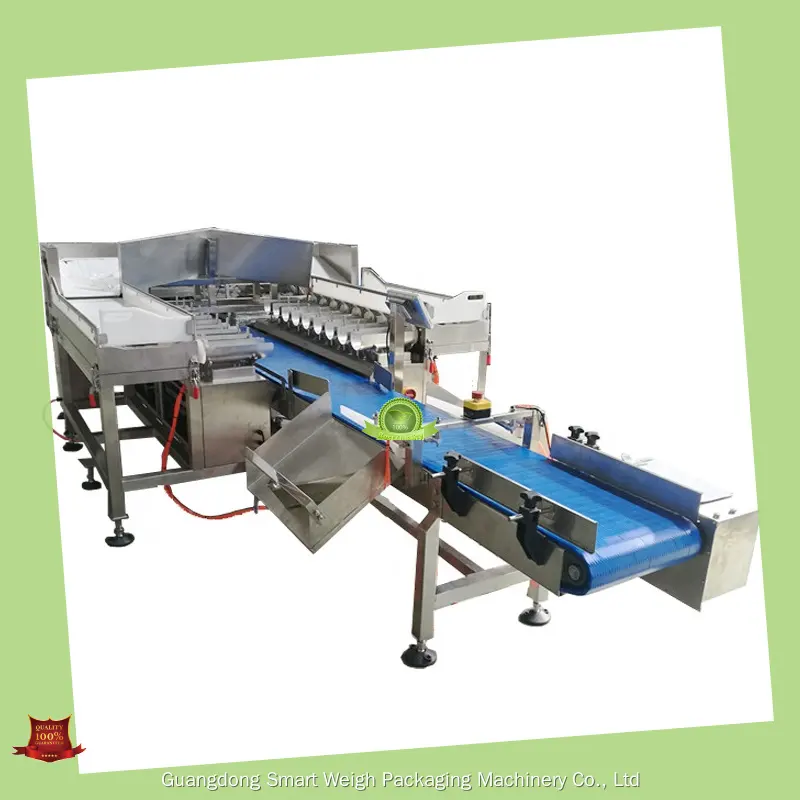 Cost-effective weigher with custom services | Smart Weigh 1