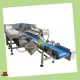 Cost-effective weigher with custom services | Smart Weigh 1