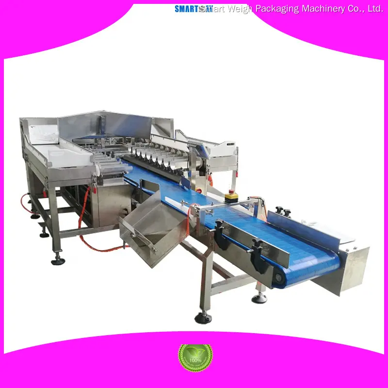 Custom weigher manufacturing Manufacturer | Smart Weigh 1