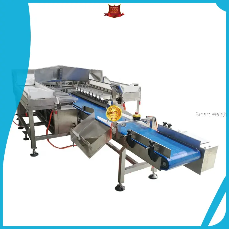 Smart Weigh | Quality bagging machine supply 1