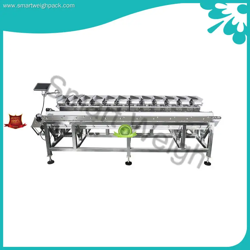 Cost-effective channel linear weigher manufacturers | Smart Weigh 1