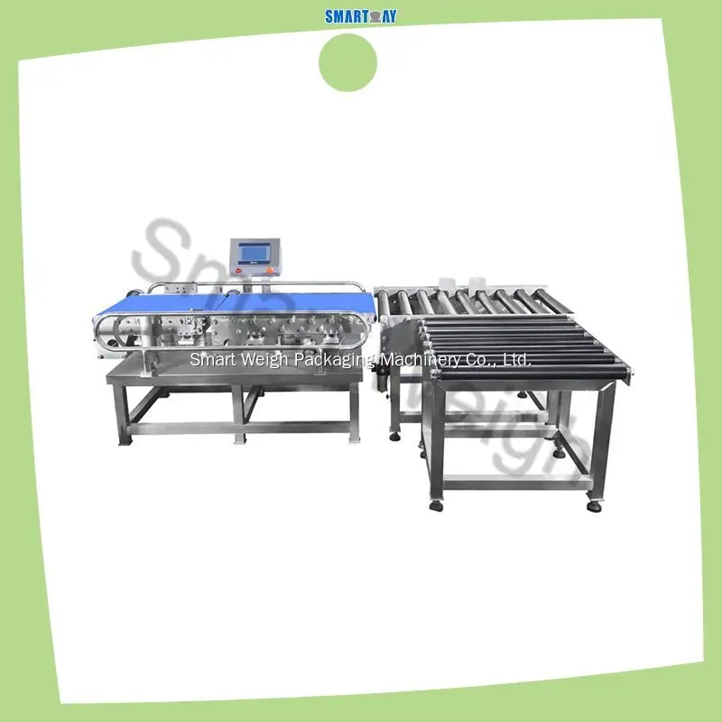 SIEMENS PLC Weighing System - 7 HMI, 5-20kg, 30 box/min, +1.0g Accuracy 1