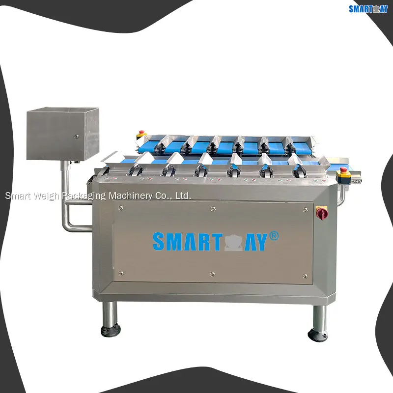 Salmon Multihead Weigher: Precise Weight Handling & Efficiency 1