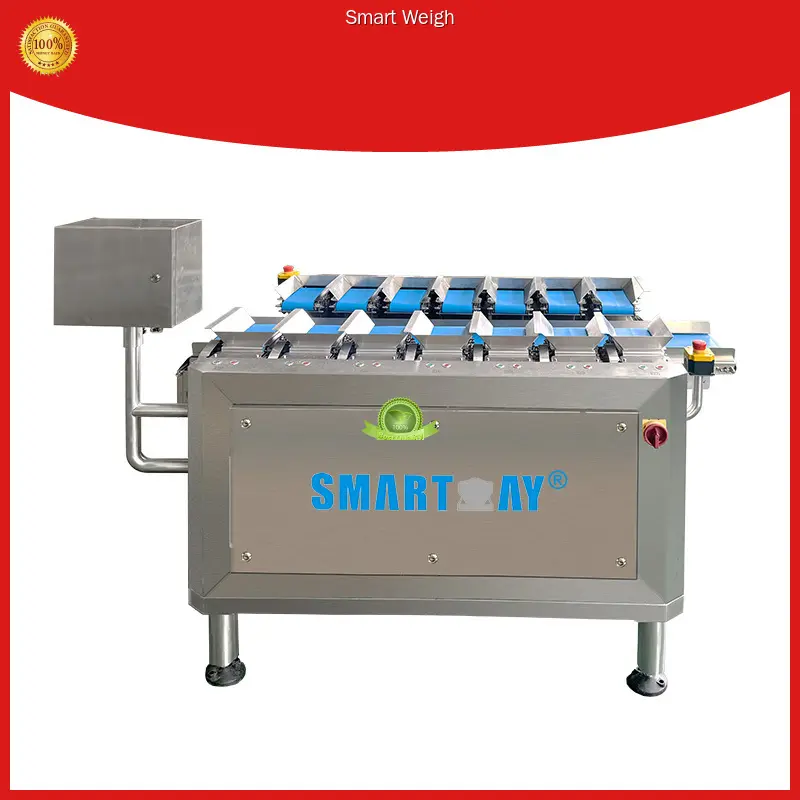 Custom multihead weigher free quote Manufacturer | Smart Weigh 1