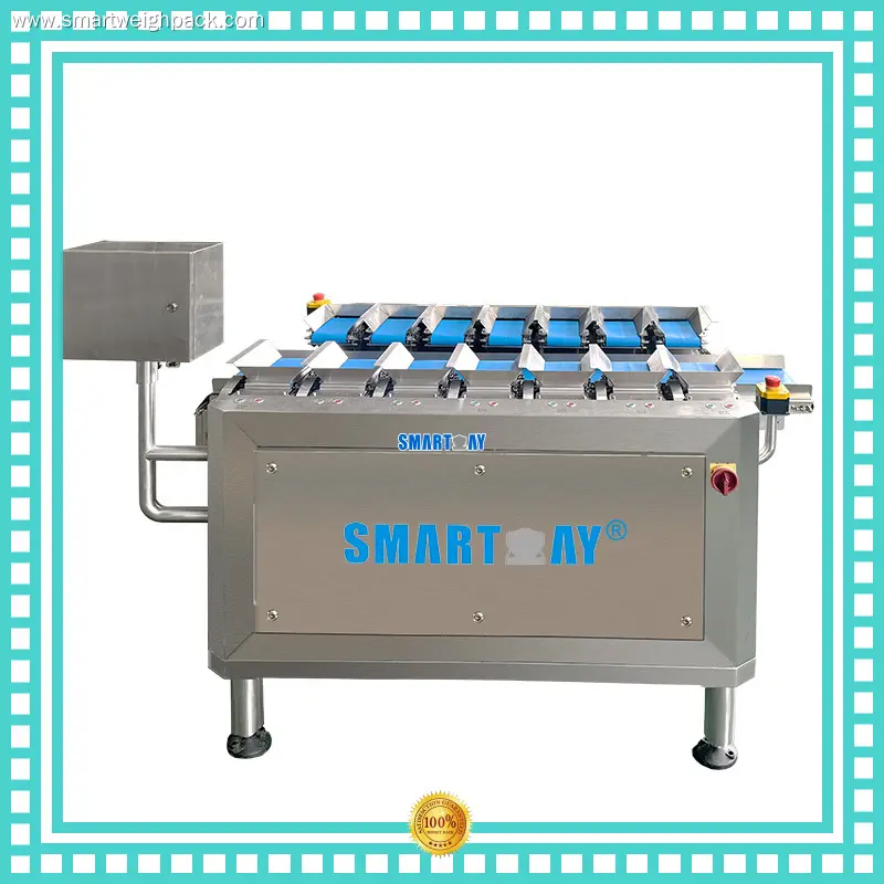 Smart Weigh | Cost-effective multihead weigher series 1