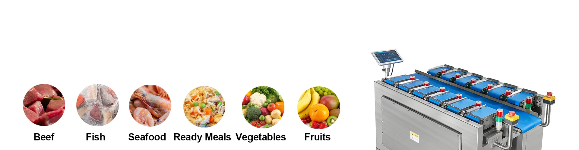 Belt Linear Combination Weigher