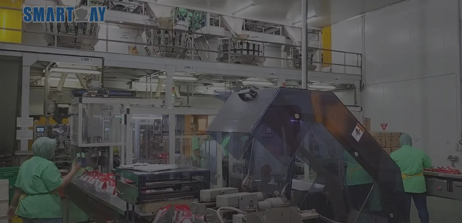 Weighing Packing Line Solutions