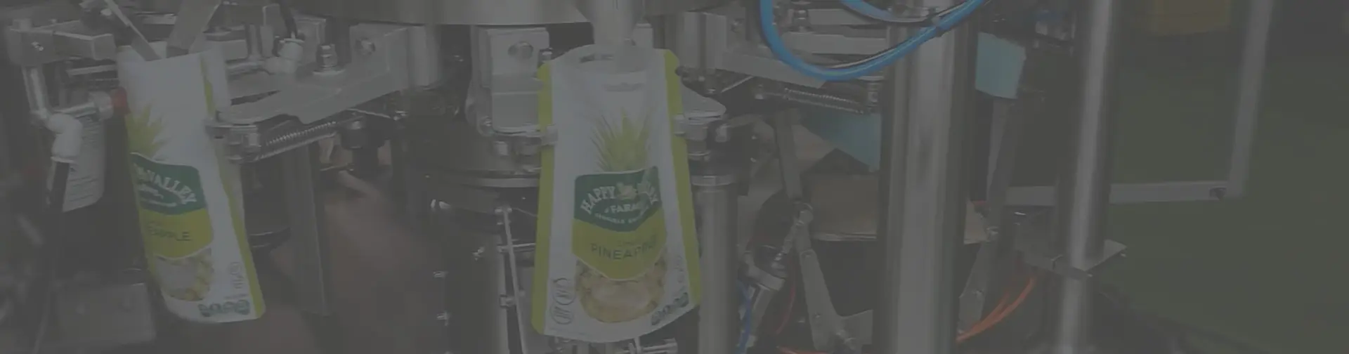 Nuts Dry Fruit Packing Machine