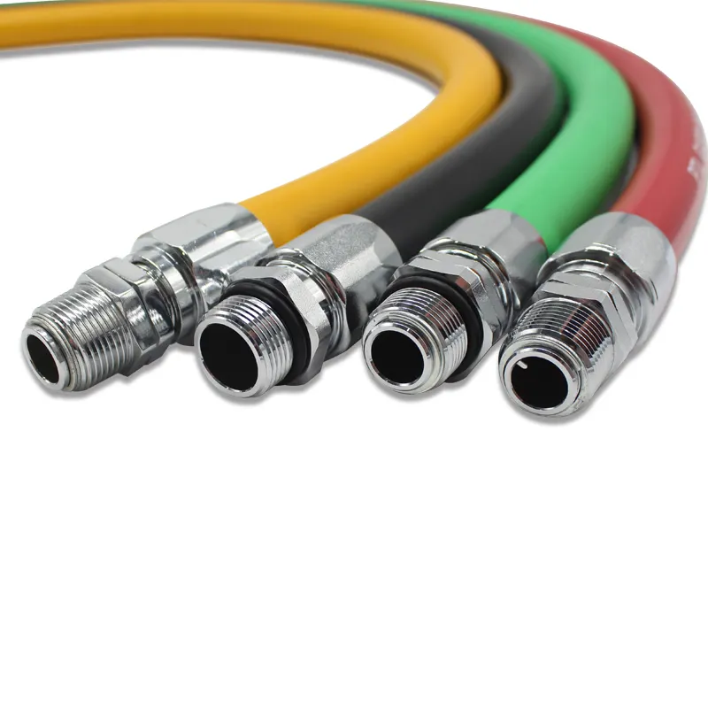 Oem & Odm petroleum dispensing hose at discount | PASSIONHOSE 3