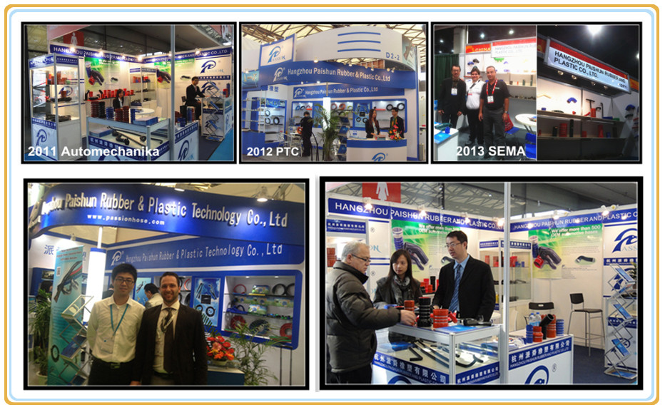 Paishun - OEM 265-3590 Custom High Temperature Silicone Rubber Hose Heat Resistant Truck Hose Hose for CAT 13