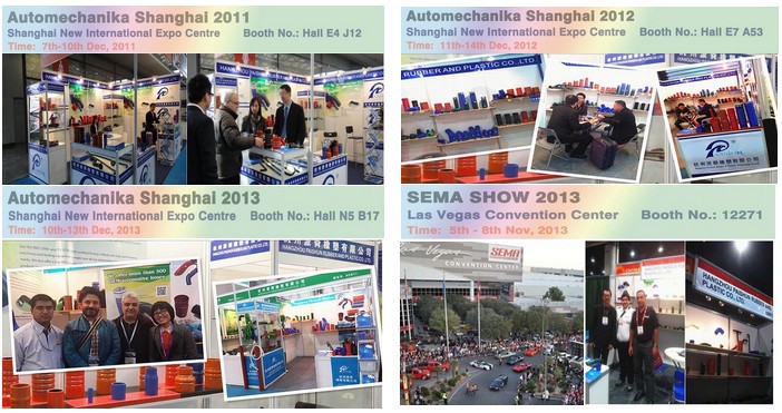 Paishun - AEM Hose Adapter Hose AEM Radiator Hose Radiator Rubber Hose 13