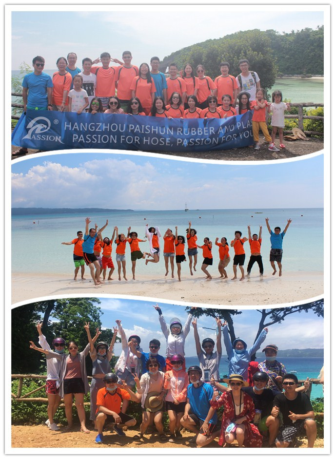 Paishun - Red/Blue/Black color Radiator Silicone Hose for Truck Parts OEM 1358202 Meets CE, Auto Parts, CHINA Silicone/ Rubber OEM Hose 20