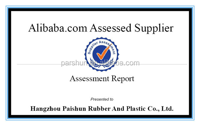 Paishun - Special Shape Customized Automotive Motorcycle Radiator Silicone Hose Straight Hump Hose 10