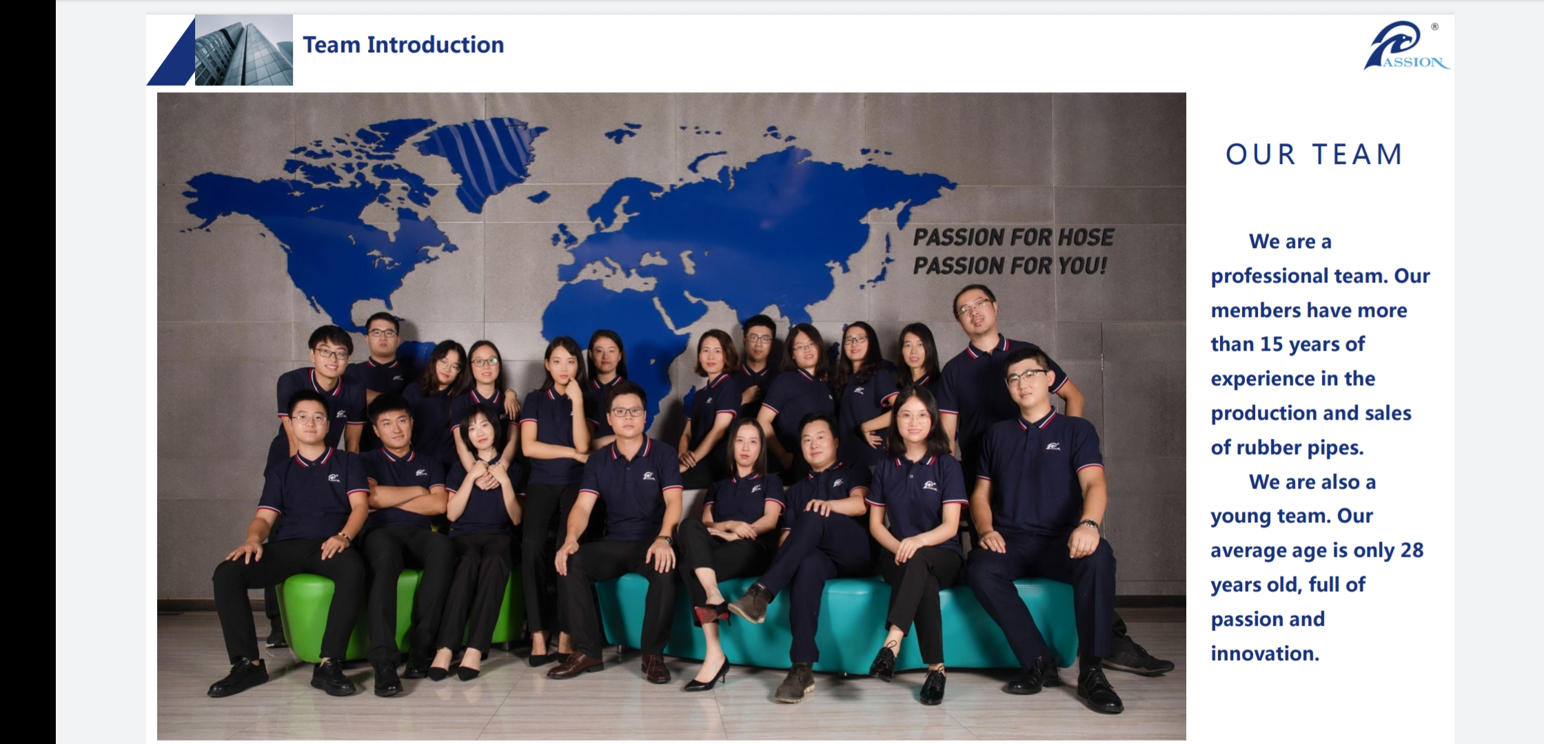 Paishun - Custom High Temperature Silicone Rubber Truck Parts Oil Resistance Hose For Excavator Hose for HITACHI 24