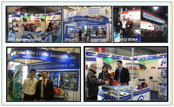 OEM Heat Resistant Exhaust Tube Heat Pipes and Intercooler Silicone Hose