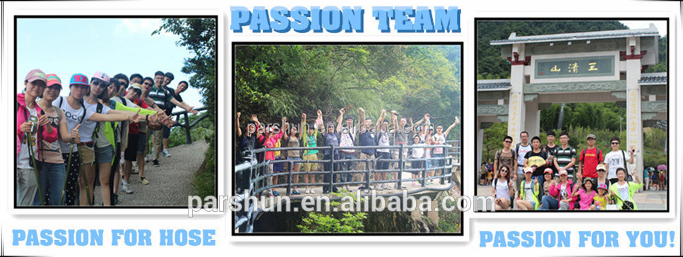 Paishun - 5/16 Black Inert Gas Hose W.P 300 Psi W Flame Resistant More Others 8