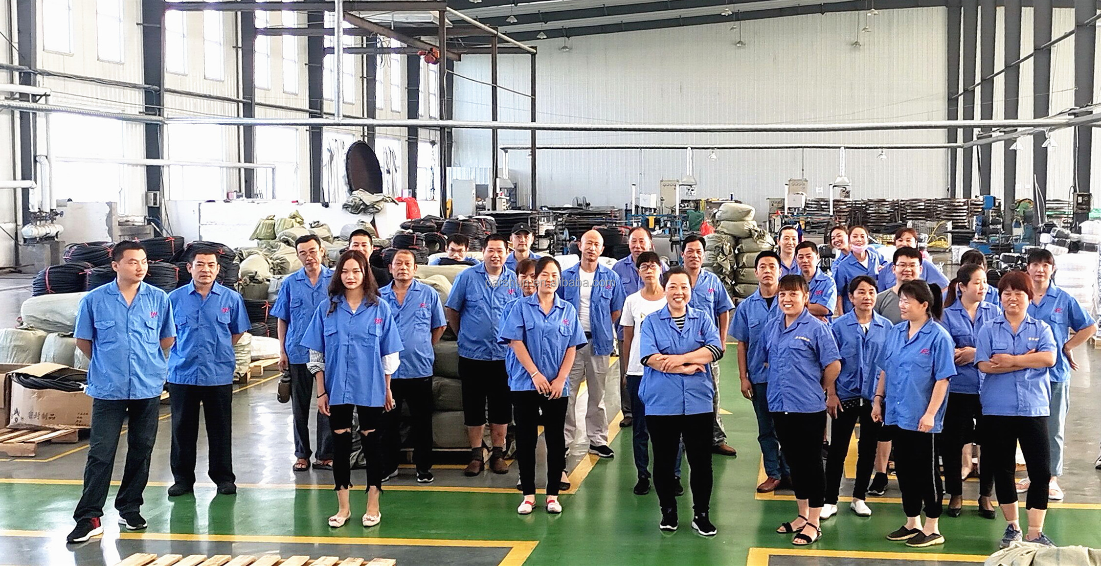 Paishun - OEM BCD 273302 Truck Spare Rubber Molded Parts Engine Mount Molded Rubber Part 22