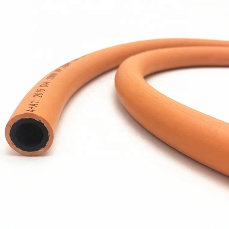 Paishun - 10mm High Temperature Resistance Rubber Propane Hose Propane/ LPG gas Hose 1