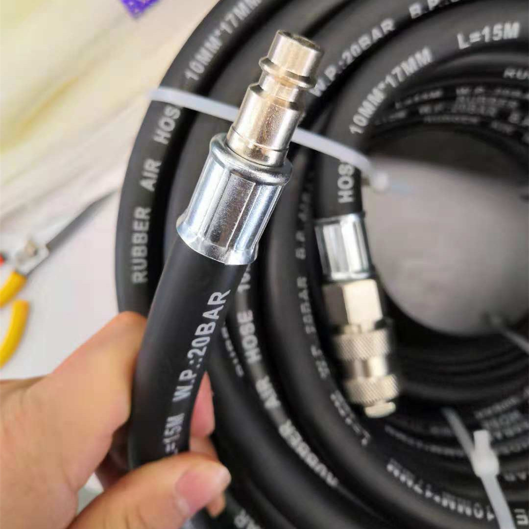 Paishun - 8 X 15 MM Rubber Compressed Air Hose TUYAU With Euro Quick Release Coupling for UK Market Air Fluid Hose Assembly 10