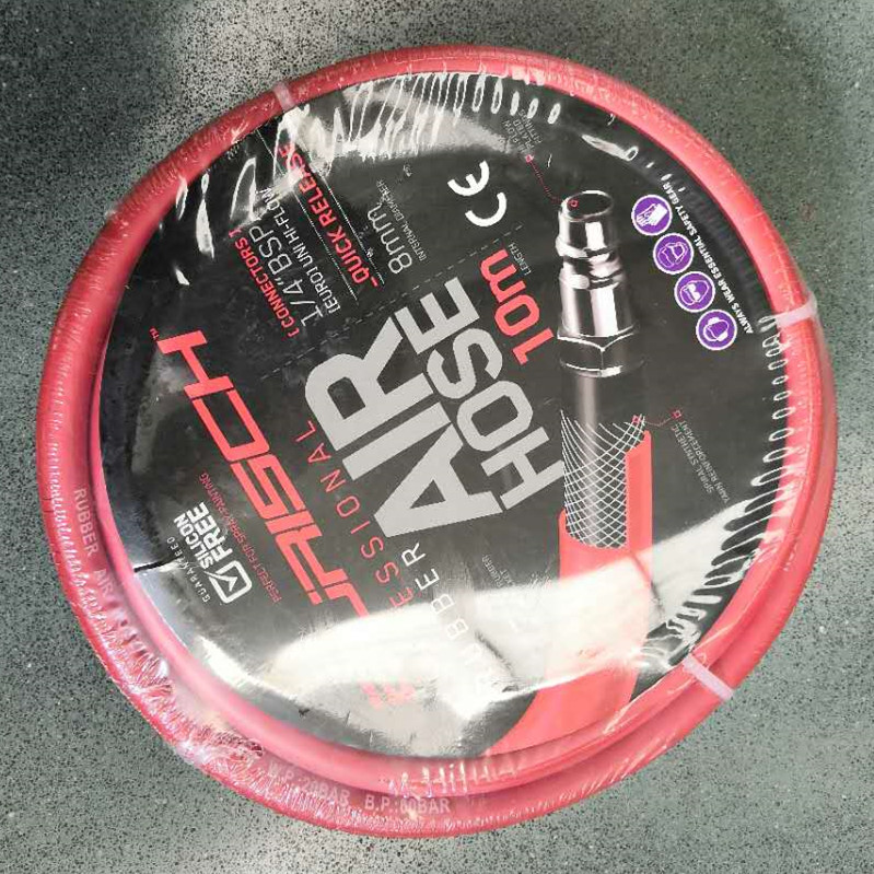 Paishun - 8 X 15 MM Rubber Compressed Air Hose TUYAU With Euro Quick Release Coupling for UK Market Air Fluid Hose Assembly 9