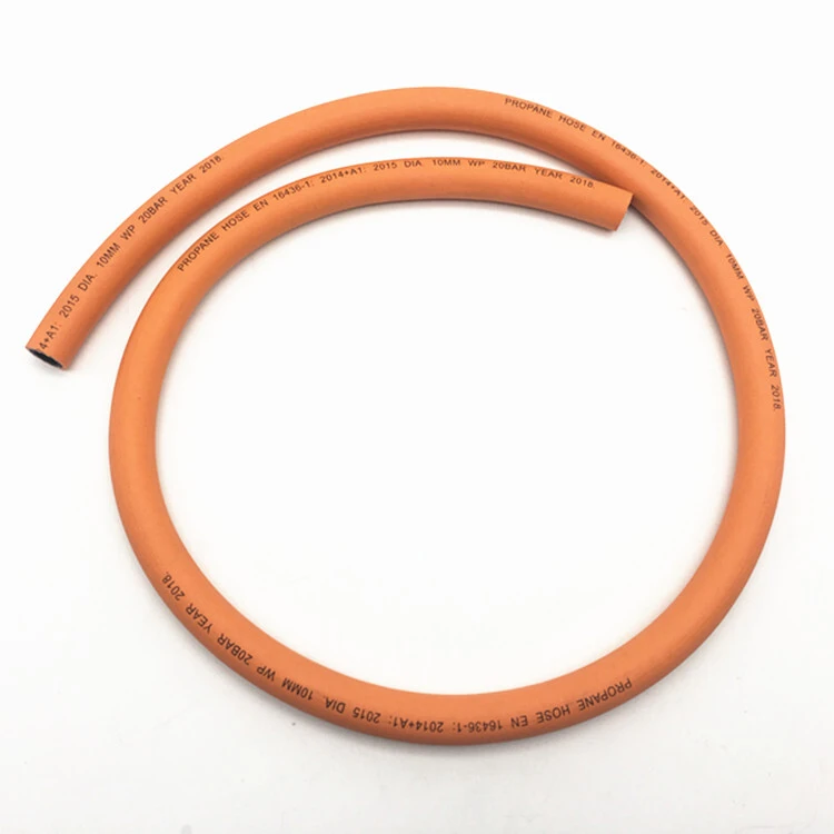 Paishun - CE Certificate ISO3821 Standard Commercial 8mm CO2 Flexibility Hose for Gas Propane/ LPG gas Hose 1