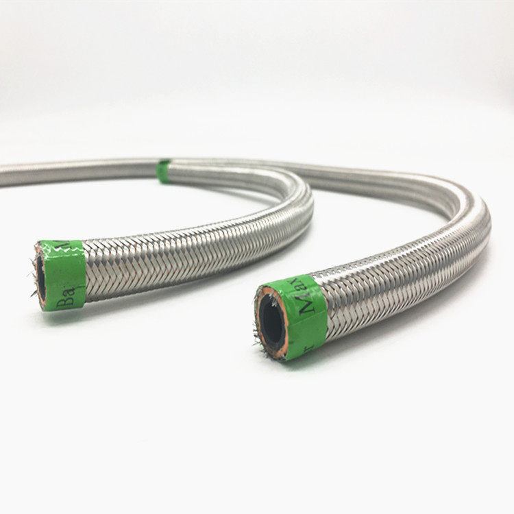 High Performance Flexible Stainless Steel Hoses Special for Gas