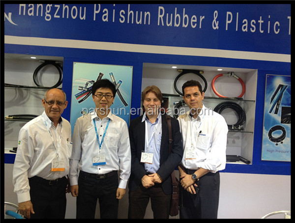 Paishun - 1/8 Inch SAE J1401 DOT Hydraulic Brake Fluid Hose Ungrouped 20