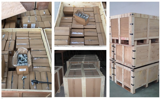 Paishun - 45 Degree Metric Female 24 Degree Cone Crimp Hydraulic Hose Fitting Ferrule/ Fitting/ Coupler 24