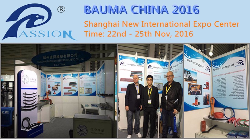 Paishun - Carbon Steel Stainless Steel Hydraulic Hose Ferrule for SAE 100R2AT/EN853 2SN Hose 00210 Hydraulic Hose Ferrule 17