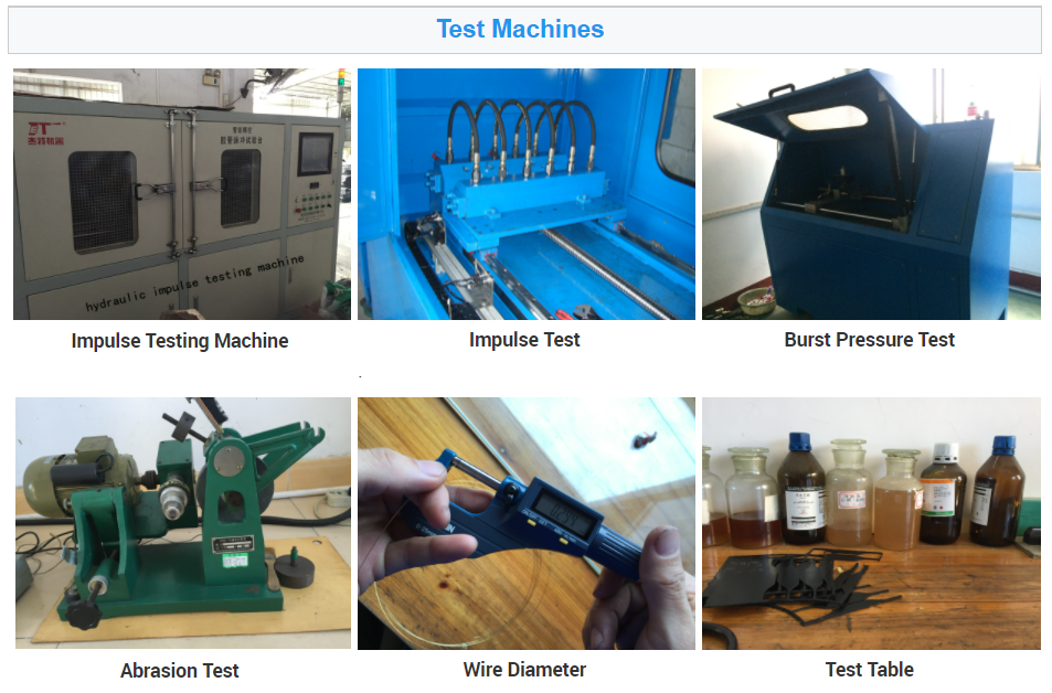 Quality PASSIONHOSE High Pressure EN 853 2SN SAE 100R2 Hydraulic Hose Assembly 5