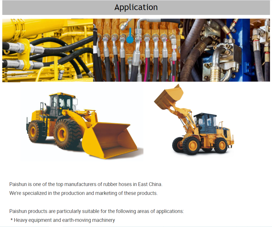 Quality PASSIONHOSE High Pressure EN 853 2SN SAE 100R2 Hydraulic Hose Assembly 10