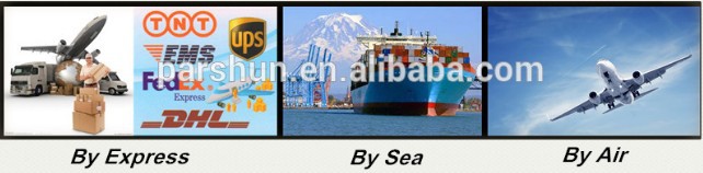 45 Degree Rubber Hose with Double Wire Hose Clamp Elbow Silicone Heat Pipe