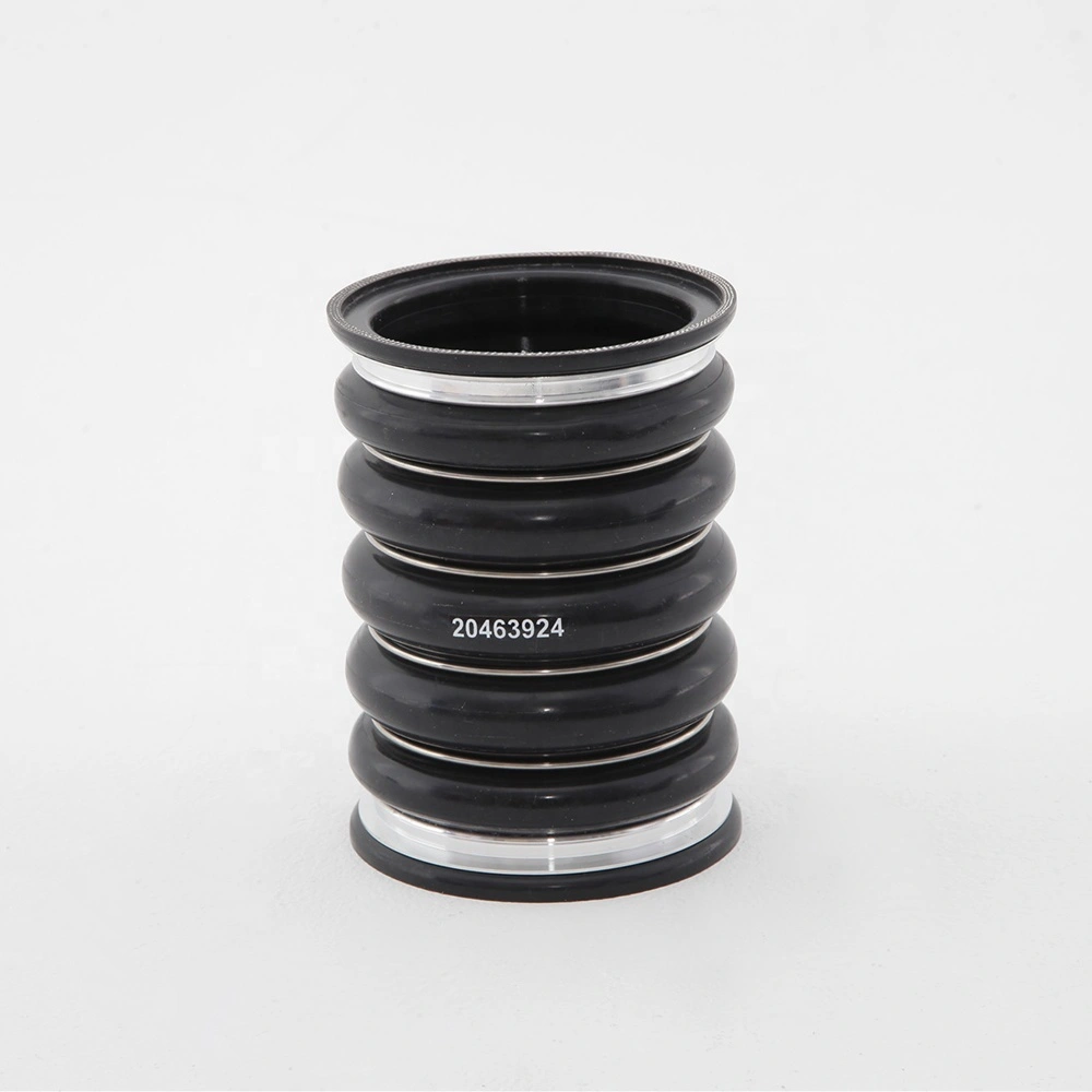 Paishun - OEM 20463924 European Truck Silicone Radiator Hose Air Intake Pipe Silicone/ Rubber OEM Hose 1