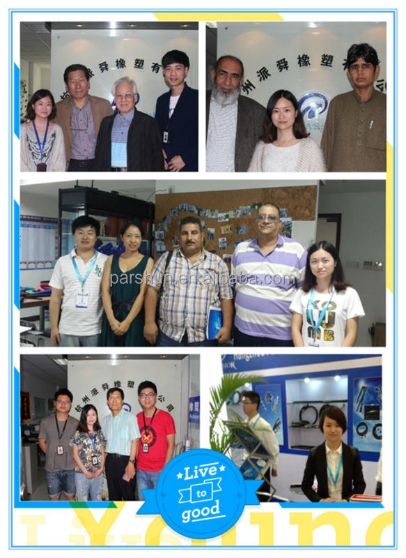 Paishun - ISO3821 Standard 6x13mm PVC Gas Hose to Peru PVC hose 13