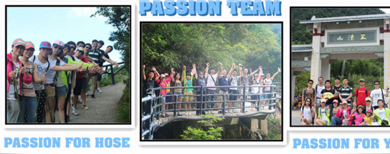 PASSIONHOSE - SAE R3 Two Textile Braids 1/4 To 11/4 Flexible Reinforced Hose SAE 100R3 11