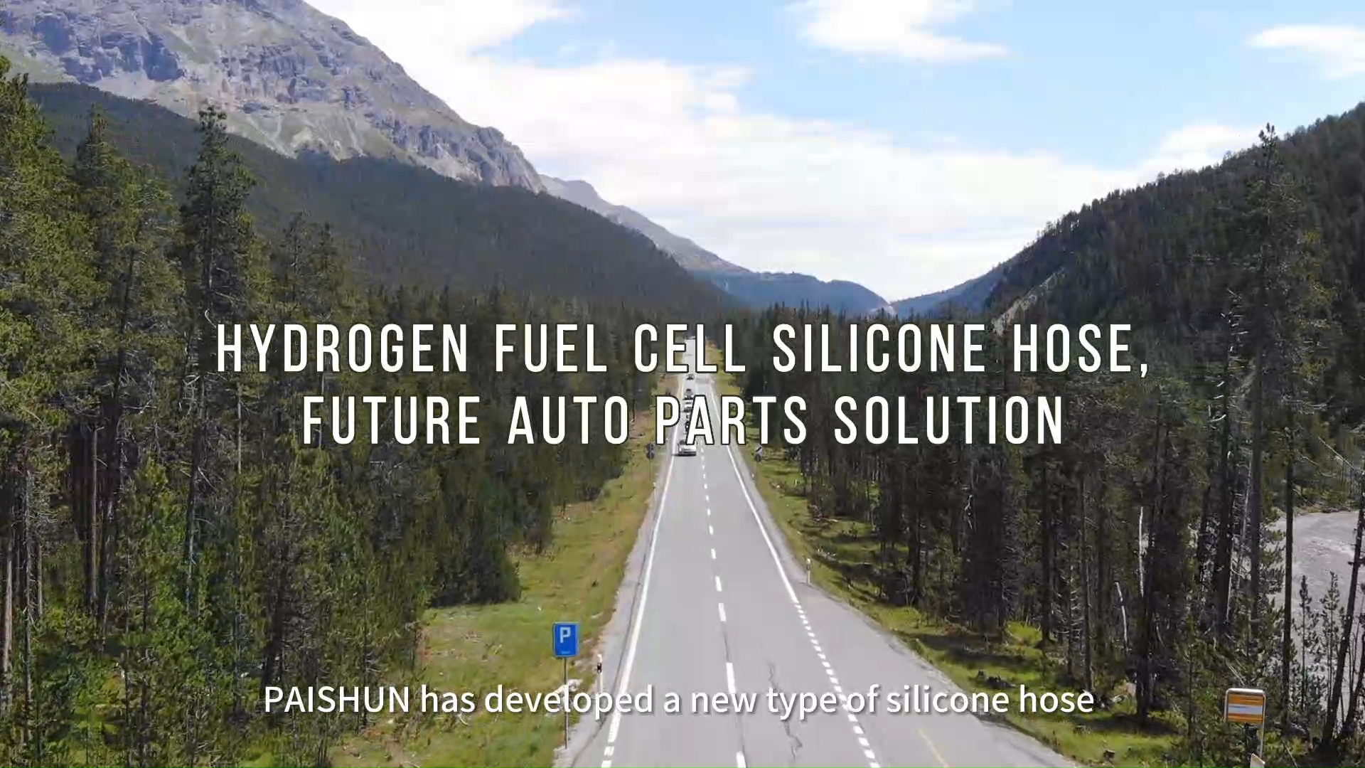 China Hydrogen Fuel Cell Silicone Hose, Future Auto Parts Solution manufacturers - PASSIONHOSE 1