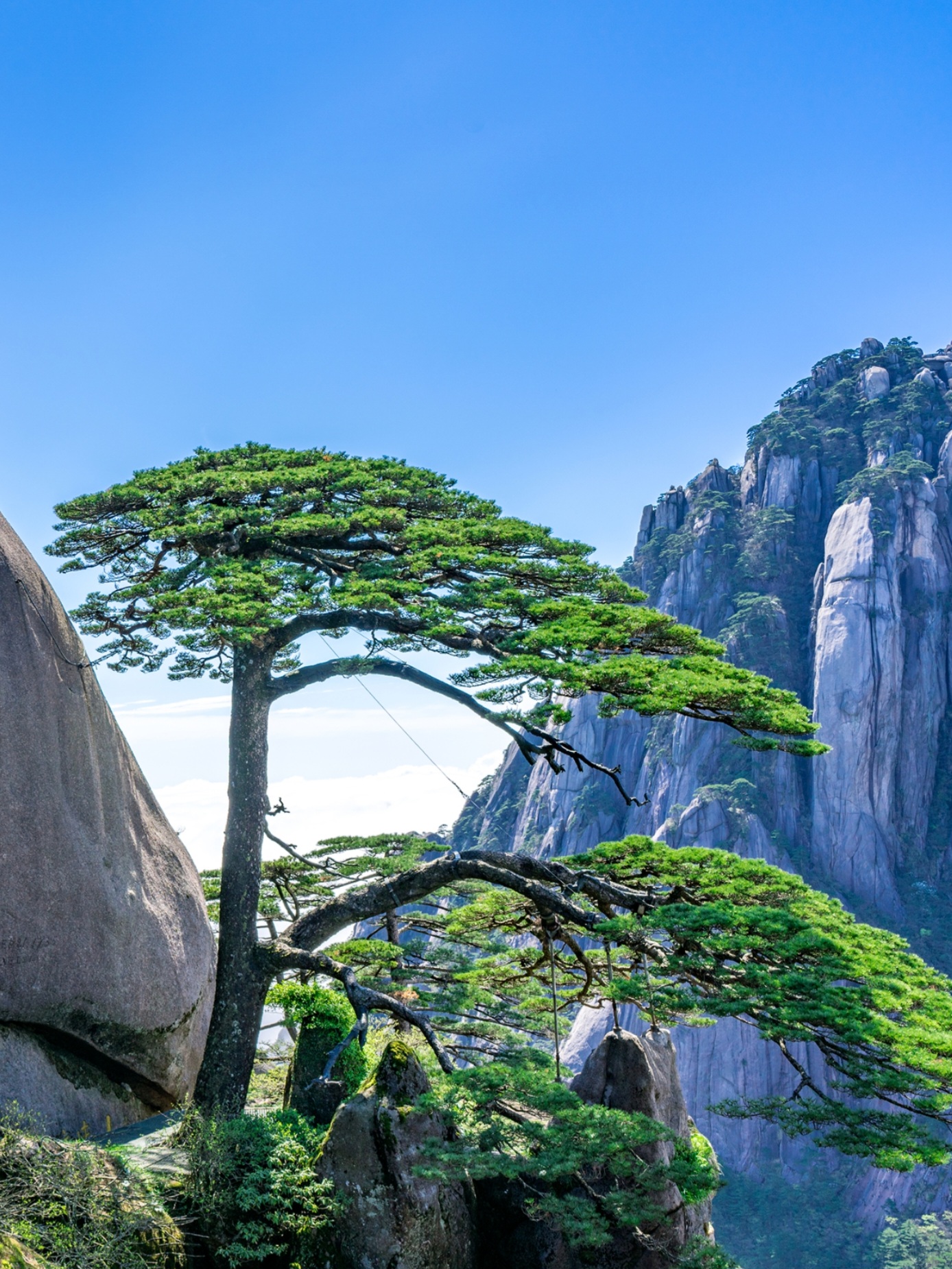 ​Mount Huang Trip | PASSIONHOSE 1