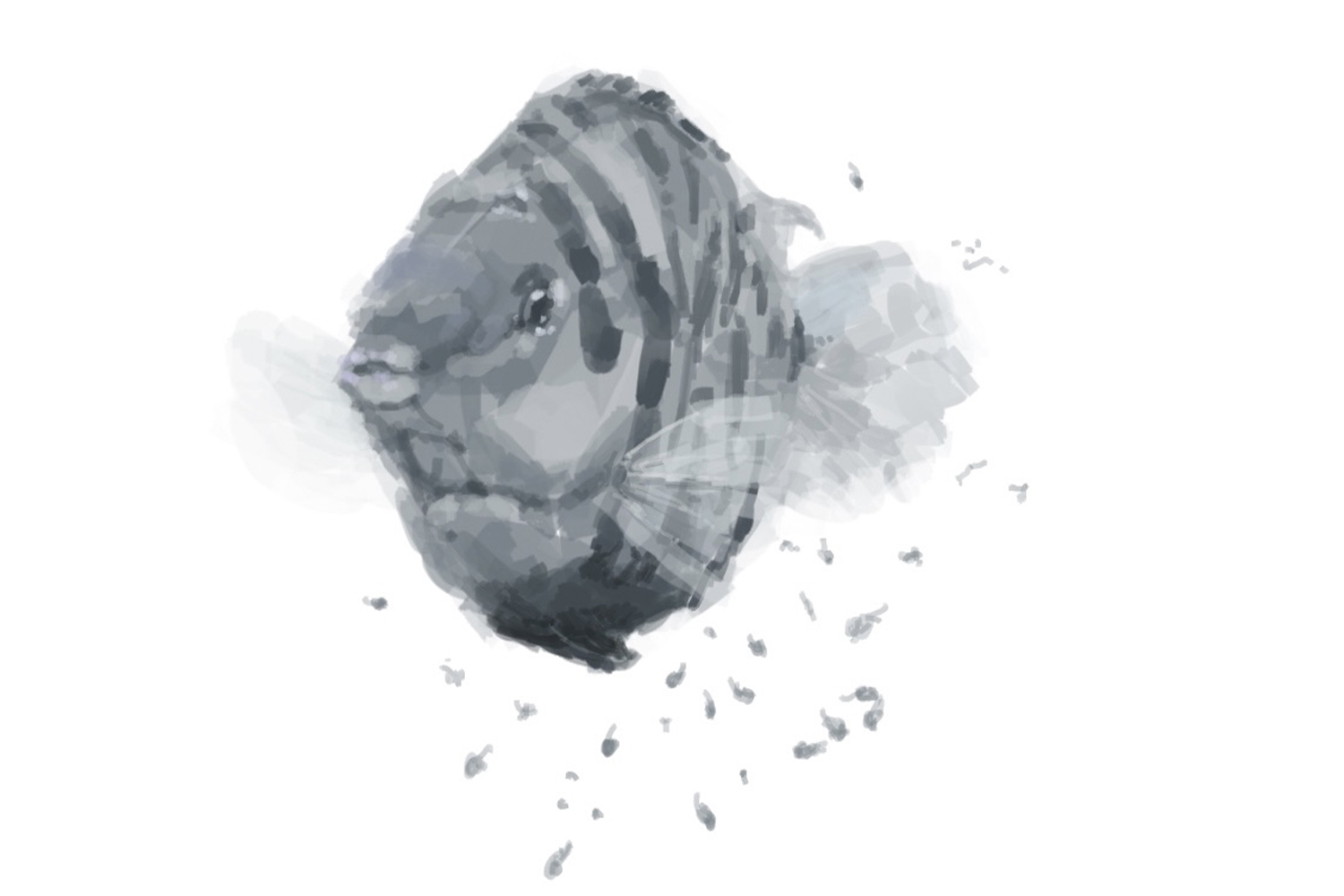 Cute Parrotfish Babies Thrive at PASSION Group! 1