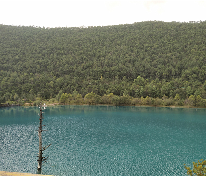 September, Some Treasured Moments in Yunan | PASSIONHOSE 8