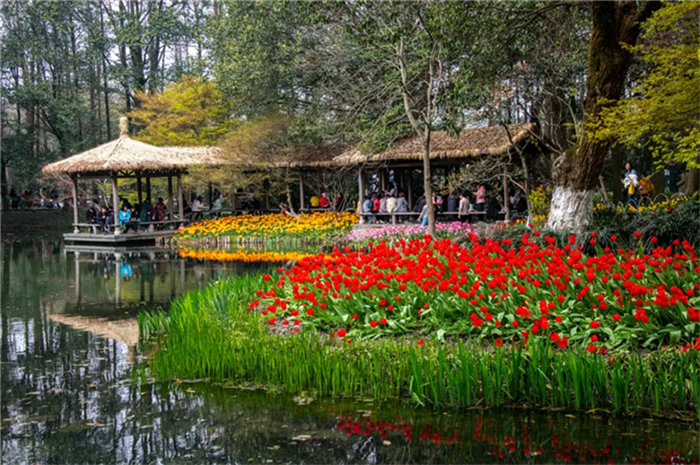 Visit Flower Shows in Hangzhou 1