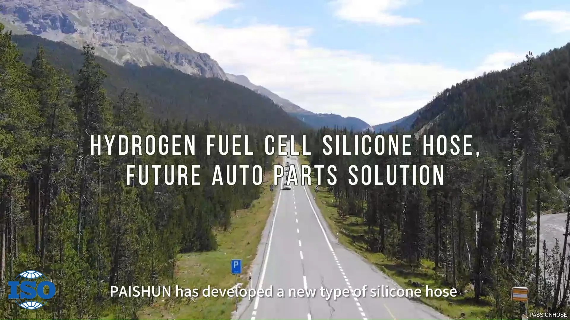 Bepoke silicone hose at discount | PASSIONHOSE 1