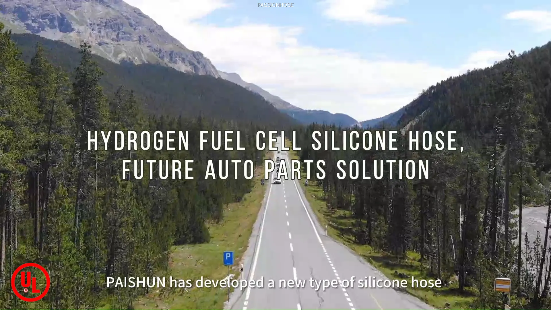 Hidrojen Enerji Sistemleri için Özel Tasarım Silikon Hortum, Yüksek Kalite | PASSIONHOSE 1