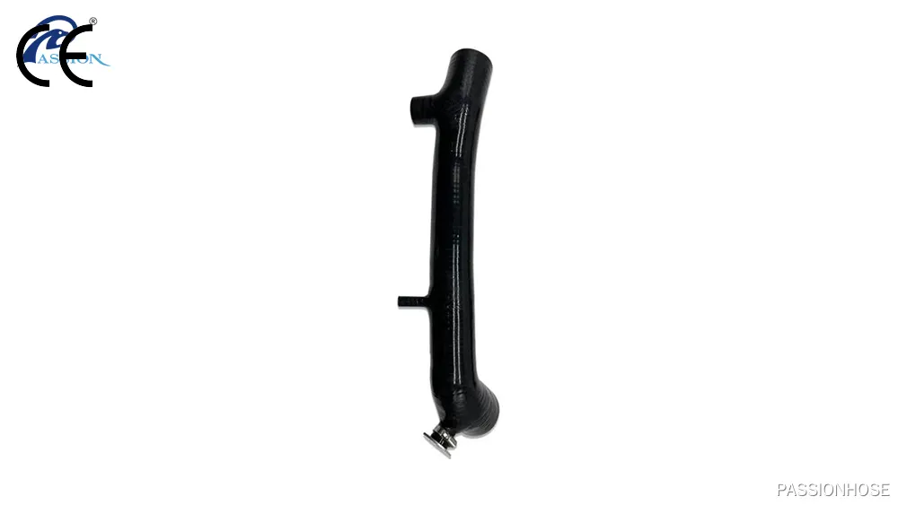 Özel Silikon Hortum Seti Tedarikçisi ve Üreticisi | PASSIONHOSE 1