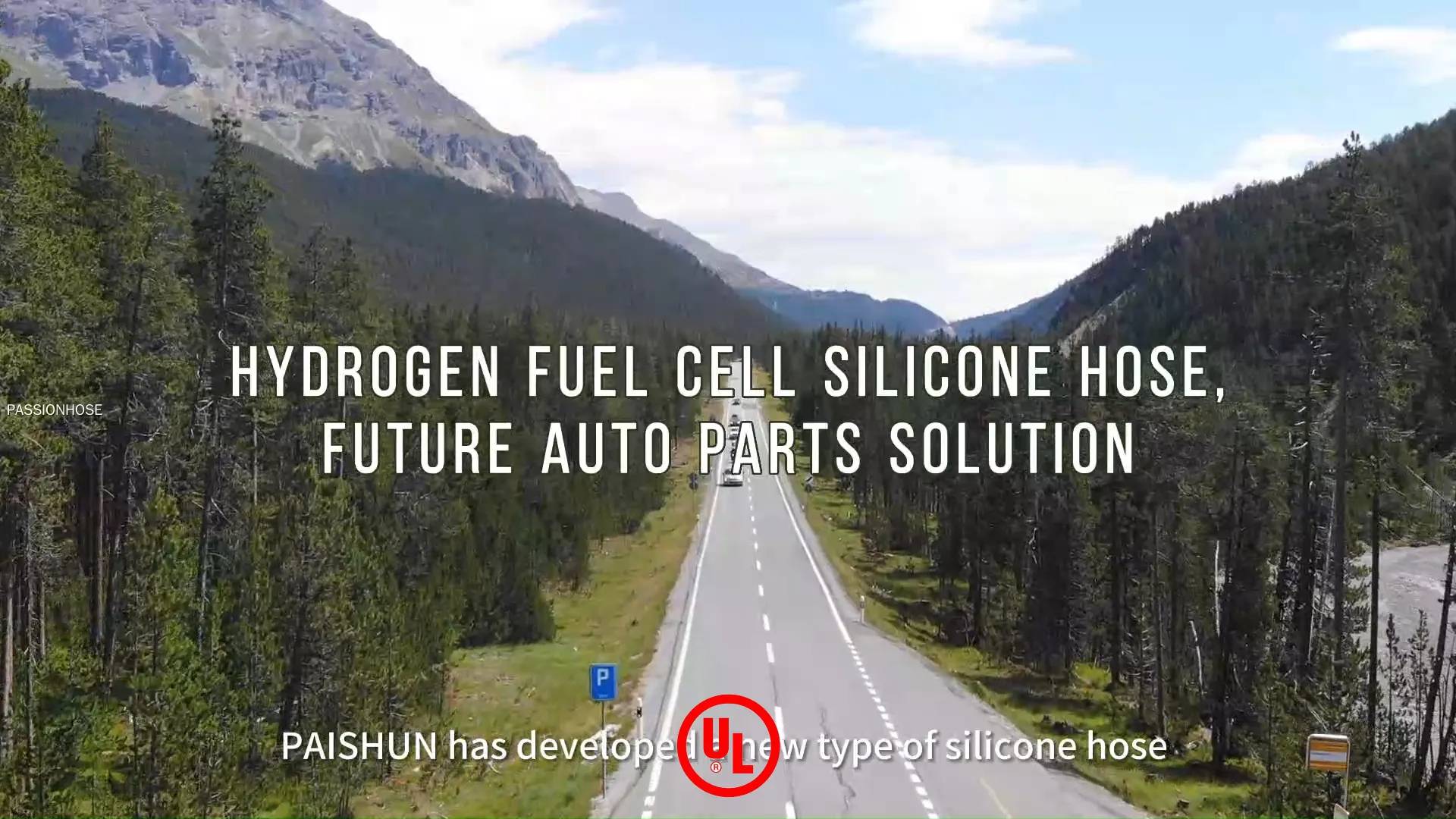 Silicone Hose for Hydrogen Power Systems at Wholesale Prices | PASSIONHOSE1 1